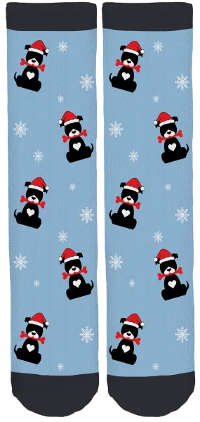 Barks of Love Holiday Crew Socks