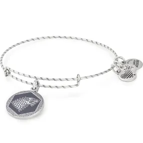 Game of Thrones Winter is Coming Charm Bangle