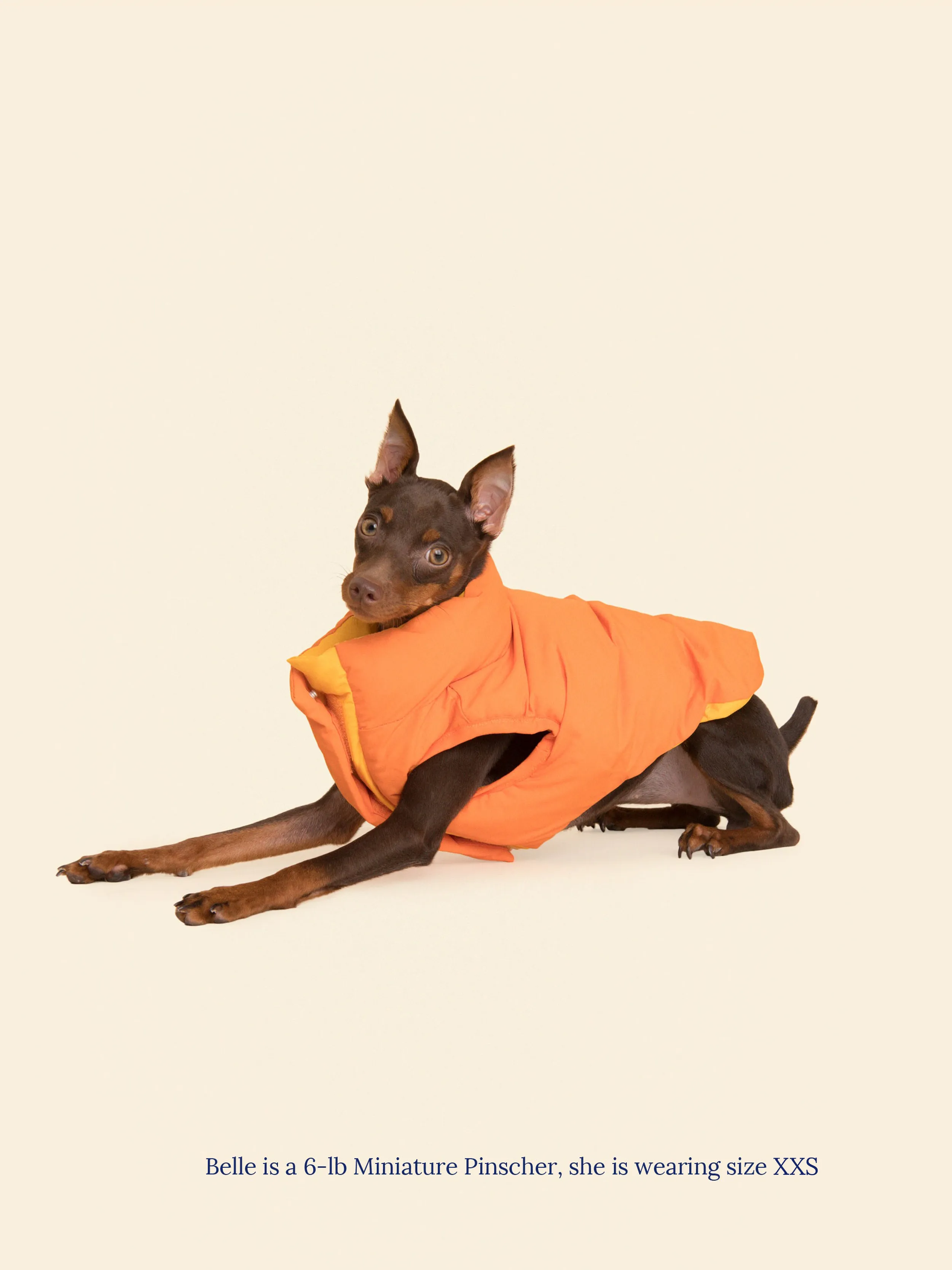 The Super Duper Reversible Parka Vest - Light Orange & Orange